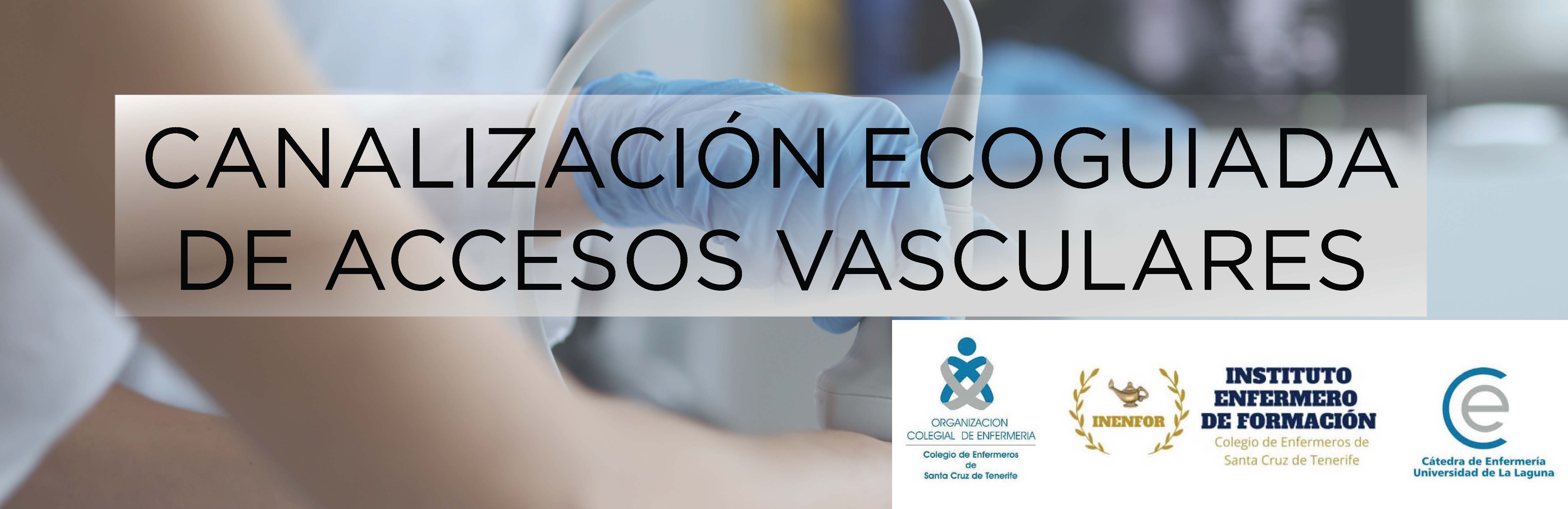CANALIZACIÓN ECOGUIADA DE ACCESOS VASCULARES
